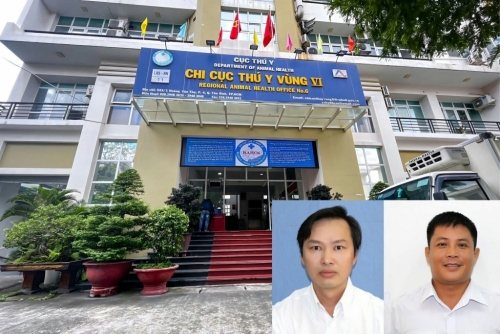 Khung hình phạt cho các đối tượng nhập lậu hàng nghìn tấn thịt động vật từ Châu Âu
