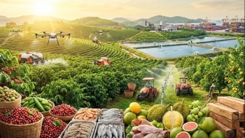 Bứt phá nhờ chuyển dịch giá trị