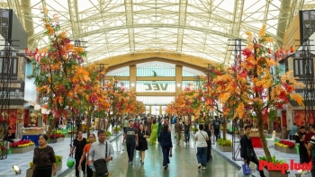 Hội chợ Mùa Xuân 2026: Không gian kết nối chuỗi giá trị Việt