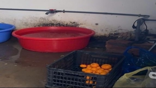 Hà Nội: Phát hiện nhiều vi phạm của Công ty Nhật Anh trong cung cấp suất ăn trường học