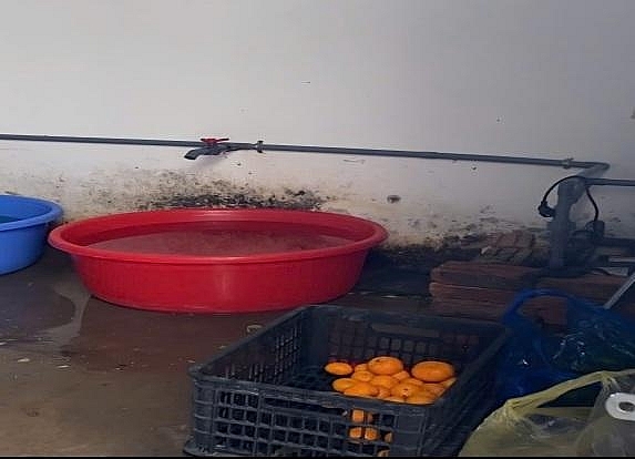 Hà Nội: Phát hiện nhiều vi phạm của Công ty Nhật Anh trong cung cấp suất ăn trường học