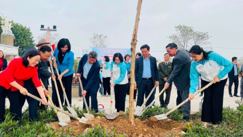 Hà Nội đặt mục tiêu trồng hơn 400.000 cây xanh năm 2026