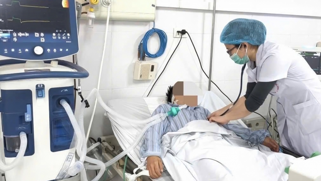 Chủ quan sau vết chó hoang cắn, bé trai 14 tuổi nguy kịch vì bệnh dại