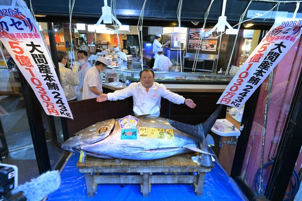 Cá ngừ vây xanh lập kỷ lục tại phiên đấu giá đầu năm 2026 ở Nhật Bản