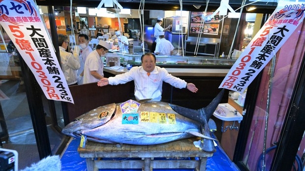 Cá ngừ vây xanh lập kỷ lục tại phiên đấu giá đầu năm 2026 ở Nhật Bản
