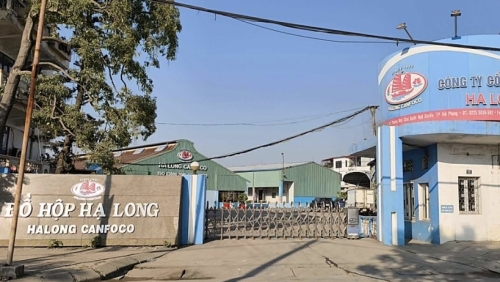 Tổng Giám đốc Công ty Cổ phần Đồ hộp Hạ Long bị bắt