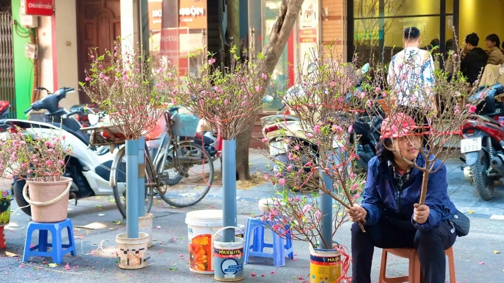 Nghe hương Xuân len lỏi trong mỗi nếp nhà