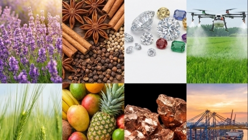 Bước chuyển mình của giao dịch hàng hóa Việt Nam