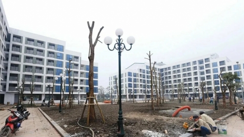 Kỳ cuối: “Luồng xanh” mở đường cho nguồn cung