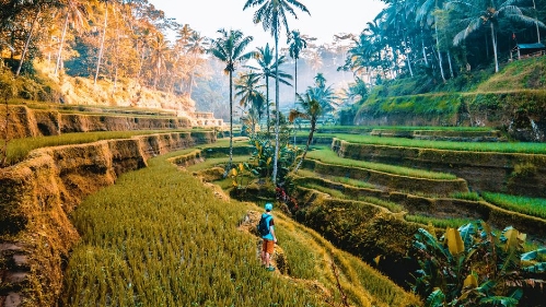 Sắp có đường bay thẳng Bali – Đà Nẵng, thúc đẩy kết nối du lịch Việt Nam – Indonesia