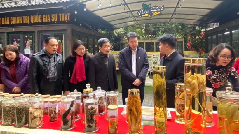 Lan tỏa những giá trị quý báu của nền y học cổ truyền Việt Nam