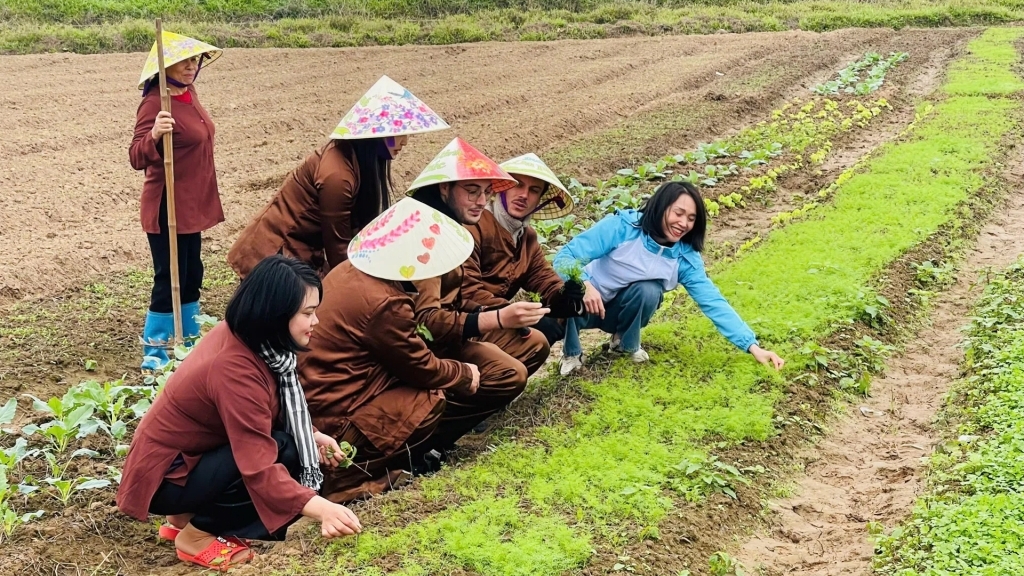 Du lịch xanh: Từ chủ trương đến thực tiễn ở vùng ven đô
