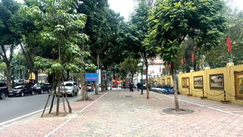 Camera AI giúp trật tự đô thị đi vào nền nếp