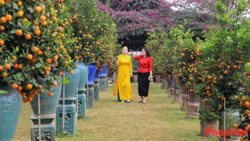 Khởi nguồn sắc Xuân của Thủ đô