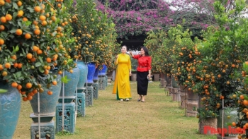 Khởi nguồn sắc Xuân của Thủ đô