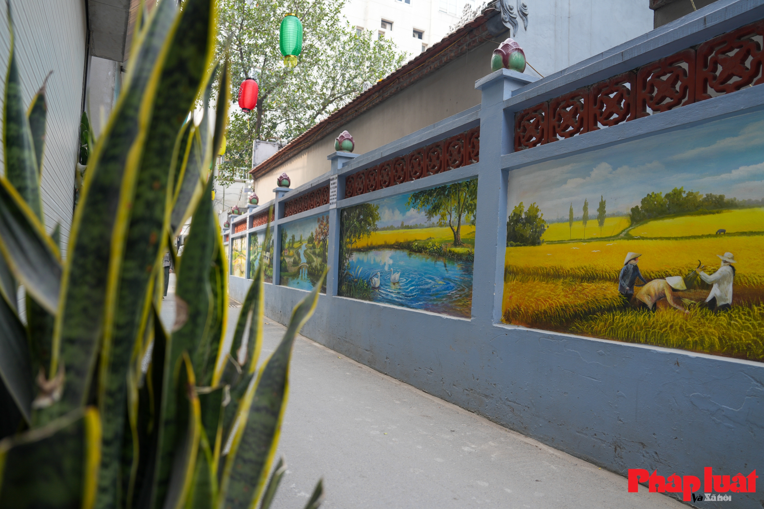 Ngõ phố “nở hoa” ở Nhật Tân - đô thị văn minh bắt đầu từ những việc rất nhỏ Ngõ phố “nở hoa” ở Nhật Tân - đô thị văn minh bắt đầu từ những việc rất nhỏ