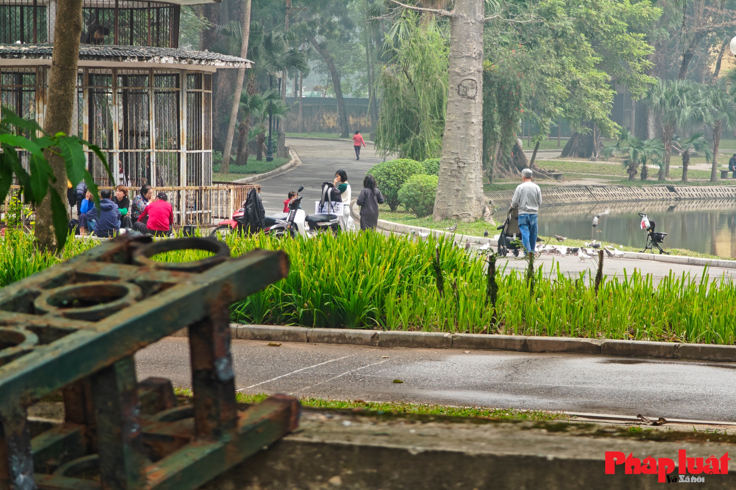 Hạ rào, mở rộng không gian xanh công viên lâu đời nhất tại Hà Nội