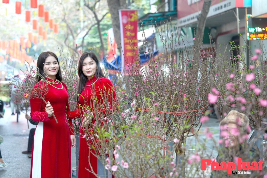 Khi di sản hòa vào nhịp phố