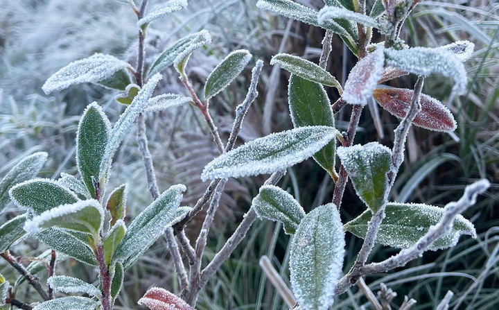 Không khí lạnh tăng cường, Bắc Bộ và Bắc Trung Bộ rét sâu, vùng núi có nơi dưới 8 độ C Không khí lạnh tăng cường, Bắc Bộ và Bắc Trung Bộ rét sâu, vùng núi có nơi dưới 8 độ C