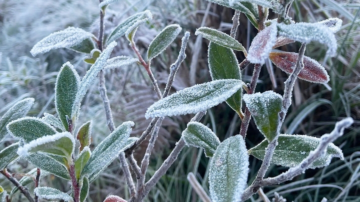 Không khí lạnh tăng cường, Bắc Bộ và Bắc Trung Bộ rét sâu, vùng núi có nơi dưới 8 độ C