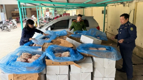 Bí mật bên trong thùng xe tải trước cổng Công viên nước Hồ Tây