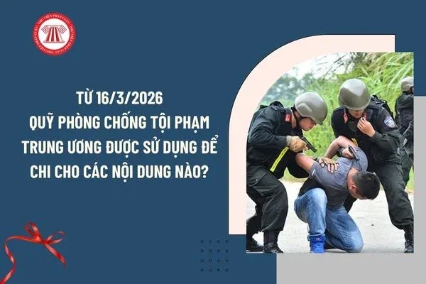 Nguyên tắc thành lập, quản lý và sử dụng Quỹ phòng, chống tội phạm từ ngày 16/3/2026