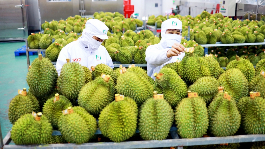 Xuất khẩu nông sản Việt Nam sang Trung Quốc tăng vọt đầu năm 2026