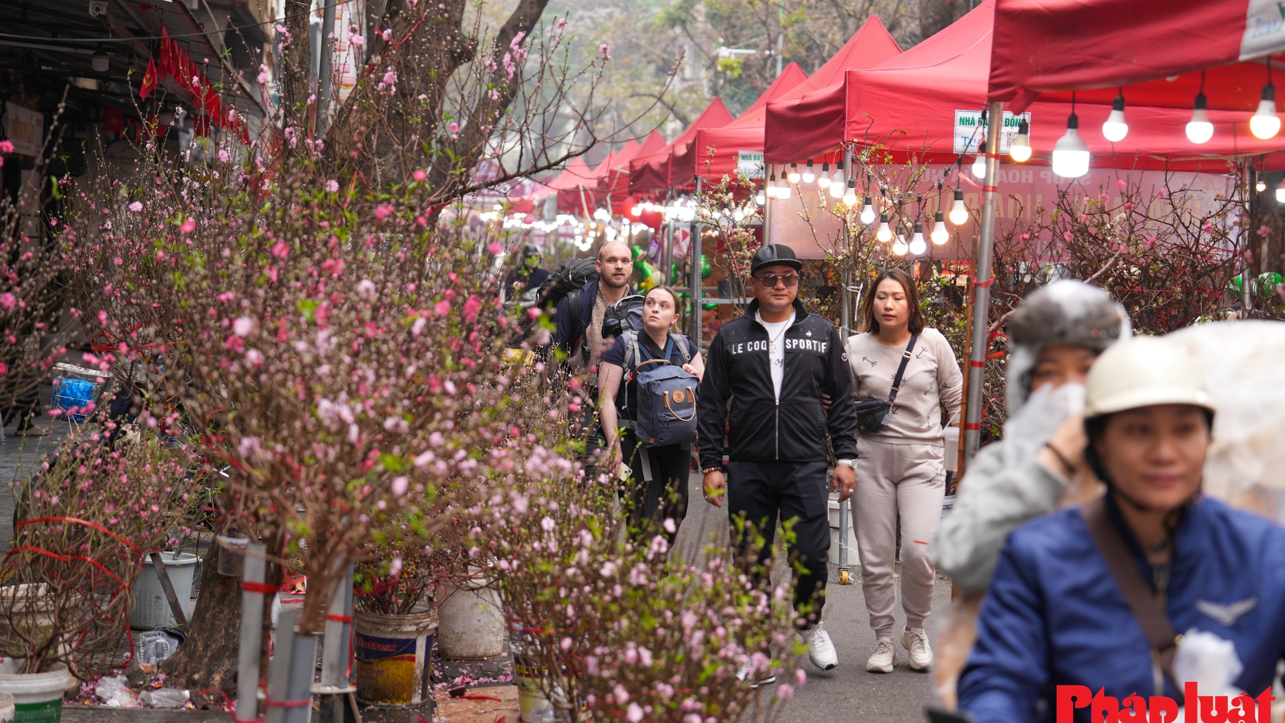 Đi giữa chợ hoa Hàng Lược để thấy Tết đã rất gần