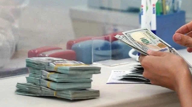 Tỷ giá USD hôm nay 6/2/2026: đồng USD tăng lên mức cao nhất trong 2 tuần