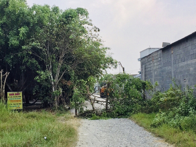 ngang nhien chan con duong di chung