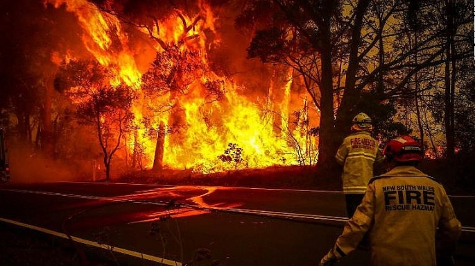 Cháy rừng tại miền Trung và việc dập lửa  Tiếng Việt