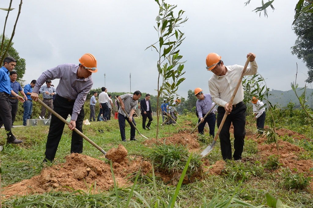 da co hon 13000 cay xanh duoc trong doc cac tuyen quoc lo trong ngay tet trong cay