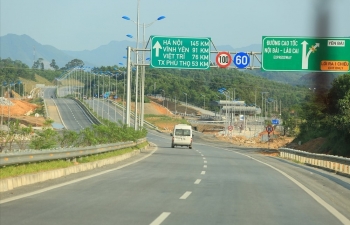Trồng cọ dọc cao tốc Nội Bài - Lào Cai tại địa phận Phú Thọ