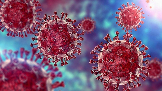Thế giới hiện có bao nhiêu biến thể của virus SARS-CoV-2?