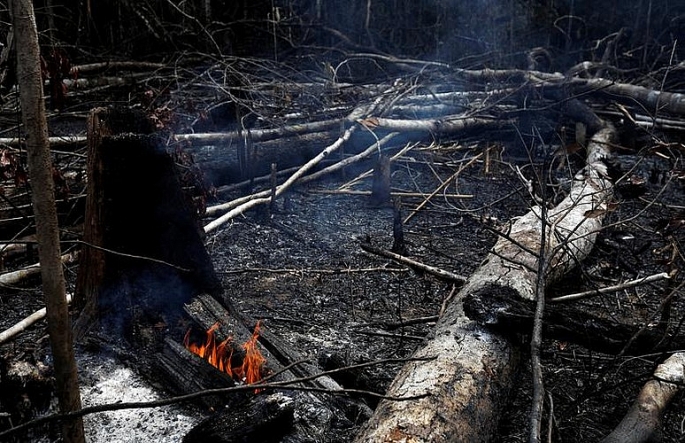 Xót xa với hình ảnh rừng Amazon bị lửa thiêu cháy xot xa voi hinh anh rung amazon bi lua thieu chay