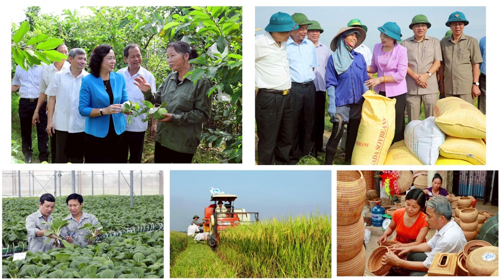 dau an dam net 8 chuong trinh cong tac cua thanh uy ha noi trong nhiem ky 2015 2020