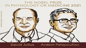 Giải Nobel Y học năm 2021 chính thức có chủ