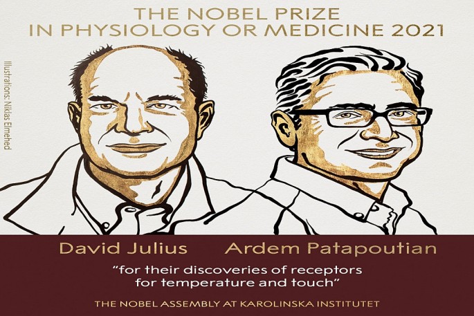 Giải Nobel Y học năm 2021. Ảnh: nobelprize.org