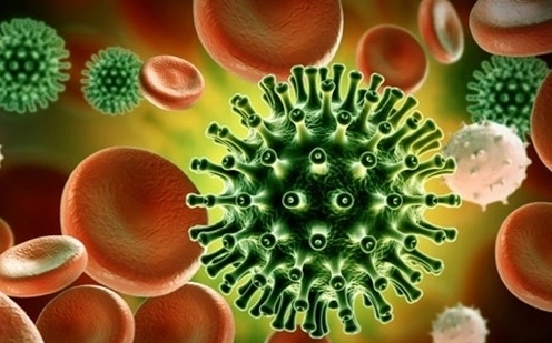 Virus Sars-Cov-2 sẽ tiếp tục tiến hóa, nhưng ít nguy hiểm hơn?