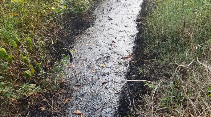 truy tim ke len do chat thai tra tan nguoi dan