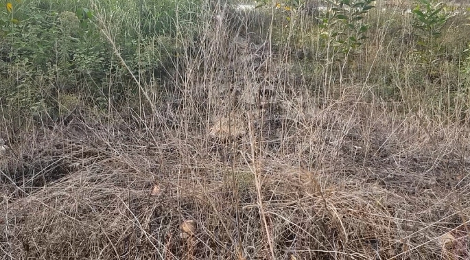 truy tim ke len do chat thai tra tan nguoi dan