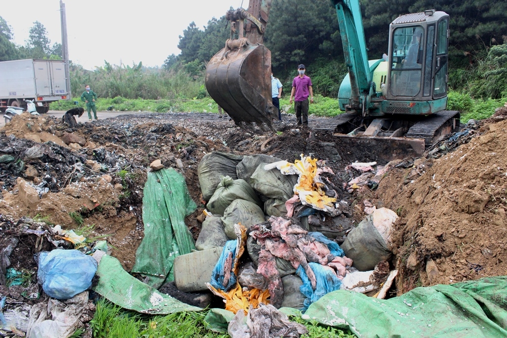 quang ninh bat giu va buoc tieu huy gan 2 tan nam lon nhap lau