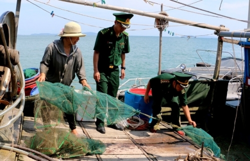 Quảng Ninh: Xử phạt 4 chủ phương tiện đánh bắt thủy sản tận diệt