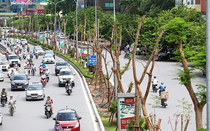 nam 2019 ha noi phan dau trong moi khoang 400000 cay xanh