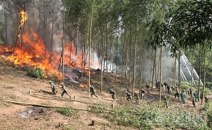 tang cuong ngan chan cac diem nong ve pha rung chay rung