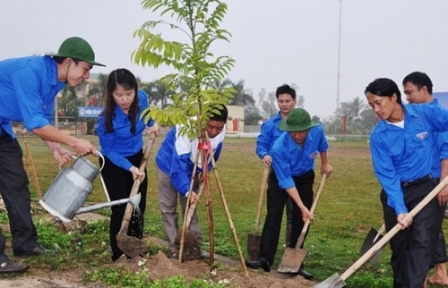 Đảm bảo trật tự an toàn giao thông phục vụ Tết trồng cây năm 2019