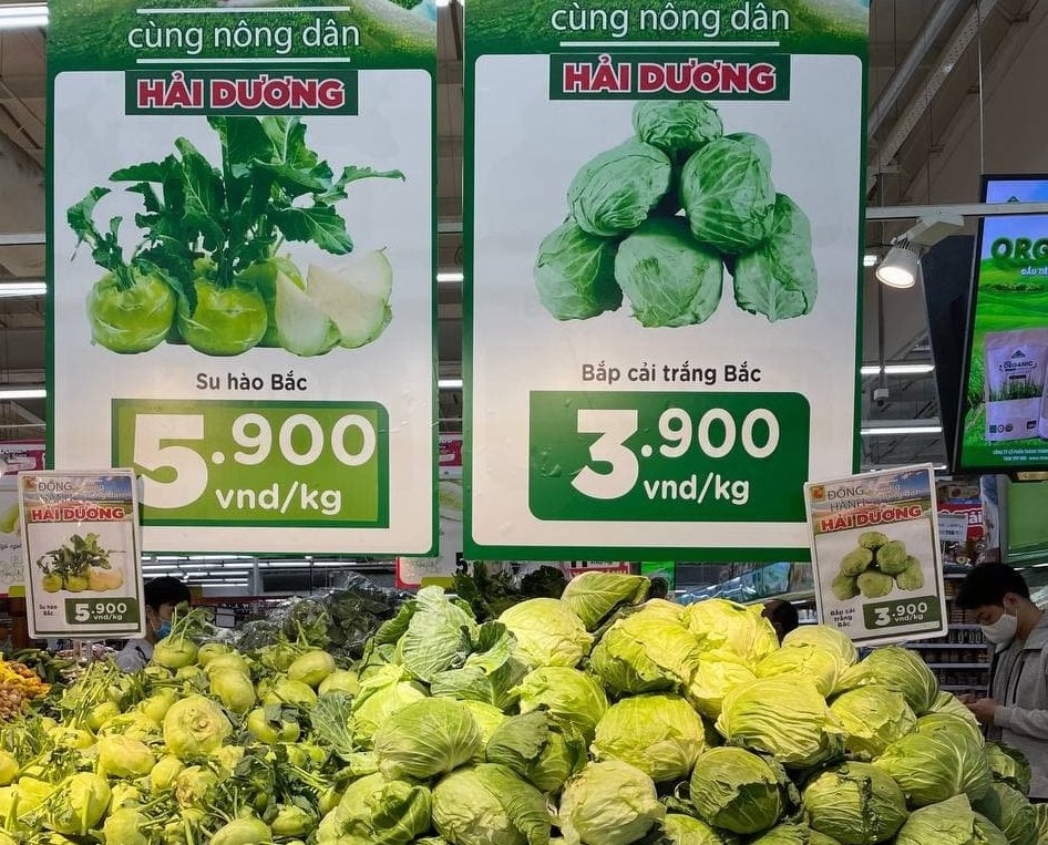 Bắp cải được bày bán tại siêu thị BigC Hà Nội. Ảnh: VGP