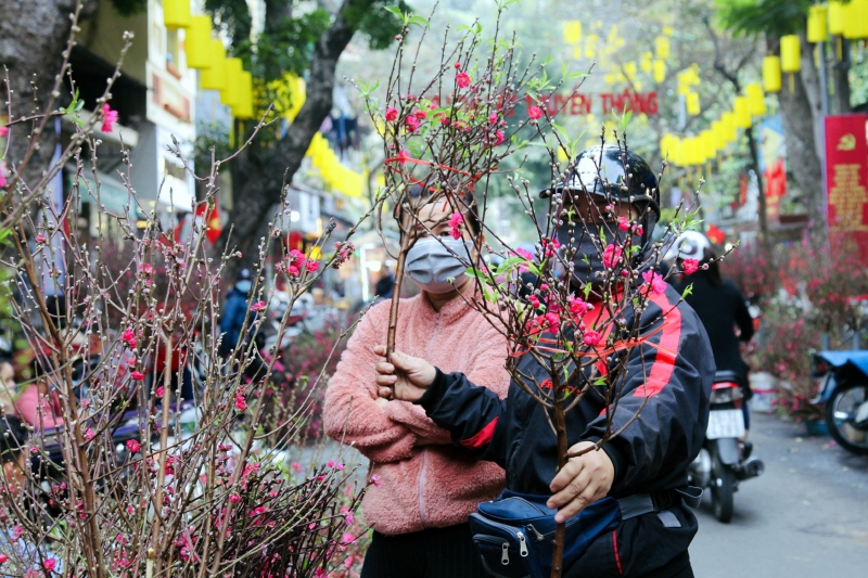 Hà Nội phân luồng giao thông phục vụ chợ hoa Tết Nhâm Dần