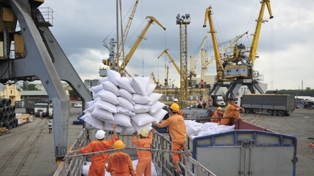 Sửa quy định về chứng nhận chủng loại gạo thơm xuất khẩu sang Liên minh châu Âu