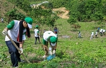 Hà Nội phát động phong trào thi đua đặc biệt phát triển lâm nghiệp bền vững